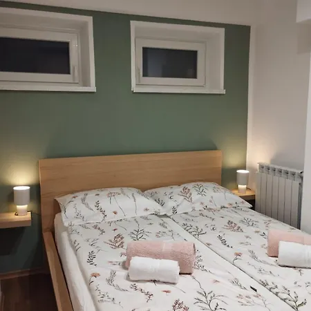 Apartma Arnej 公寓