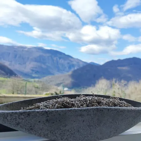 Apartment Apartma Arnej