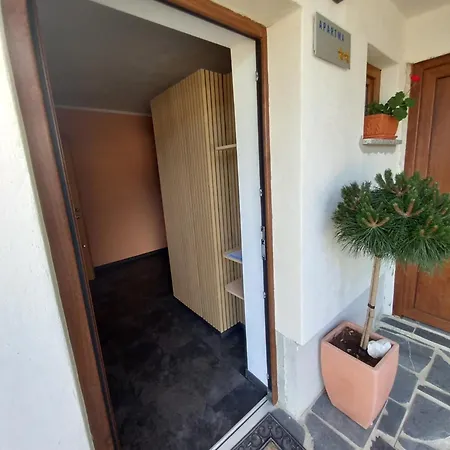 公寓 Apartma Arnej *