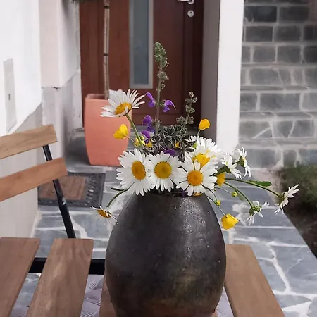 Apartma Arnej 公寓 *