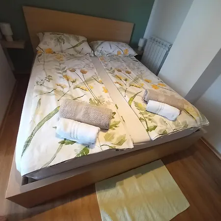 Apartma Arnej 公寓