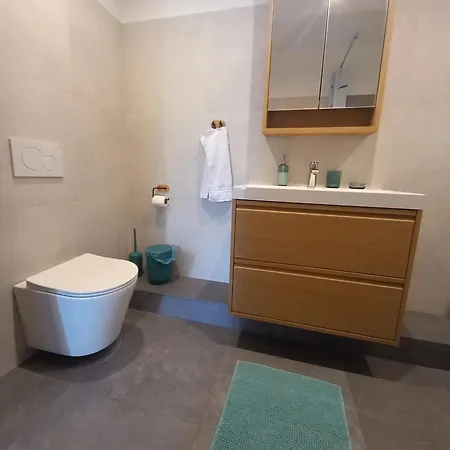 Apartma Arnej 公寓 科巴里德