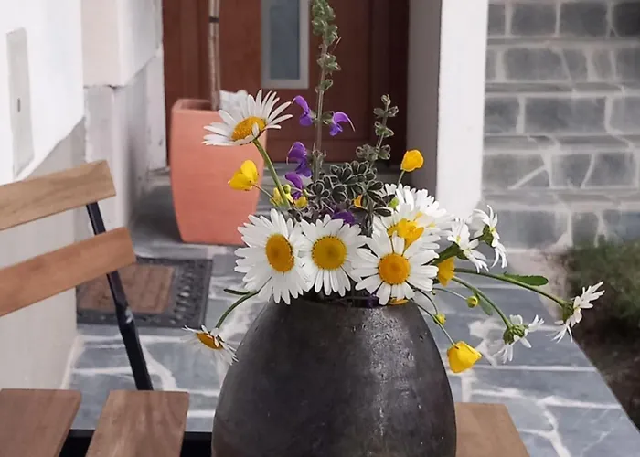 Apartma Arnej Daire *