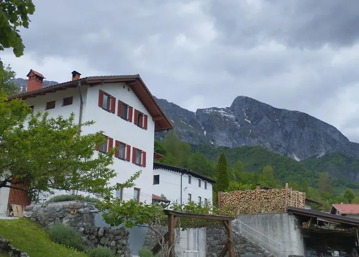 Daire Apartma Arnej *